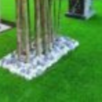 Plant Rentals For Events In Kuala Lumpur