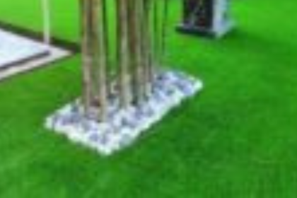 Plant Rentals For Events In Kuala Lumpur