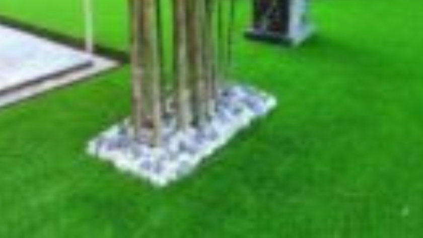 Plant Rentals For Events In Kuala Lumpur