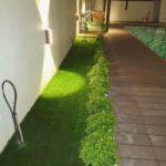 synthetic grass in Malaysia