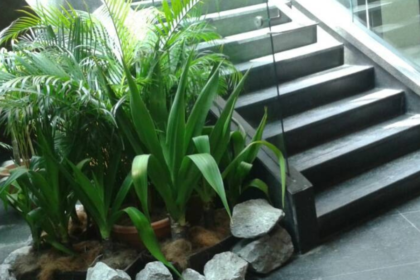 Artificial Synthetic Grass Supplier In Selangor