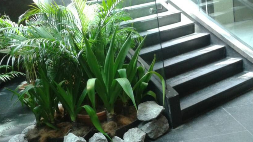 Artificial Synthetic Grass Supplier In Selangor