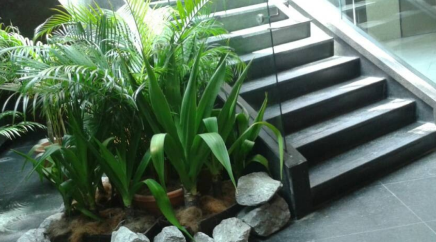 Artificial Synthetic Grass Supplier In Selangor