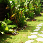 Indoor Plant Hire In Kuala Lumpur