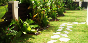 Indoor Plant Hire In Kuala Lumpur