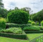 Best Artificial Grass Services In Kuala Lumpur