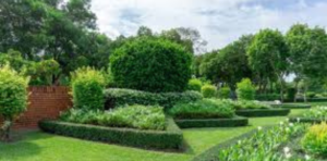 Best Artificial Grass Services In Kuala Lumpur