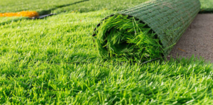 Rental Plant Service KL