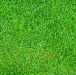 Artificial Grass Landscaping In Malaysia