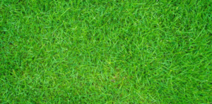 Artificial Grass Landscaping In Malaysia