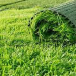 Landscape service in KL