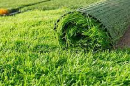 Landscape service in KL