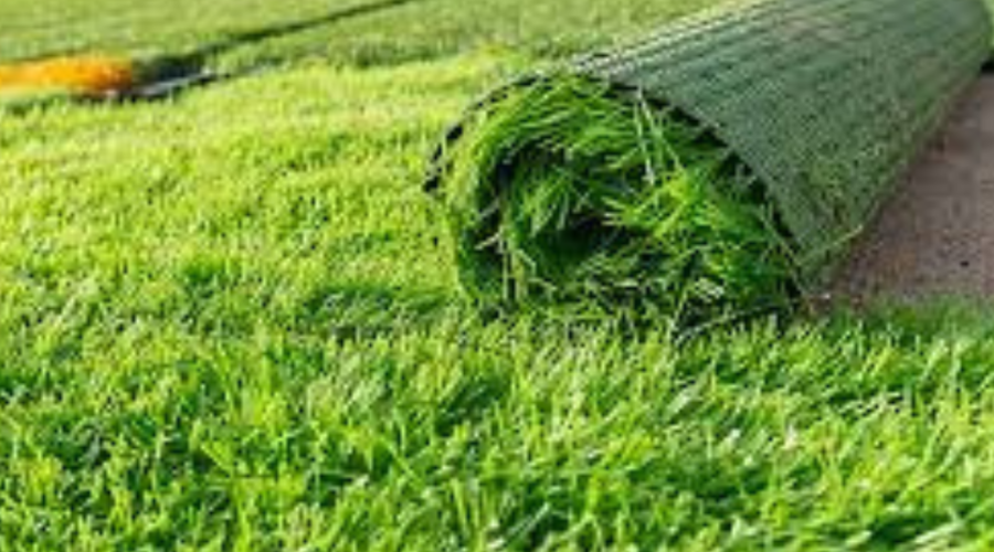 Landscape service in KL