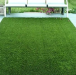 grasses landscape Malaysia