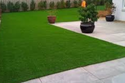 Indoor Plant Hire In Kuala Lumpur