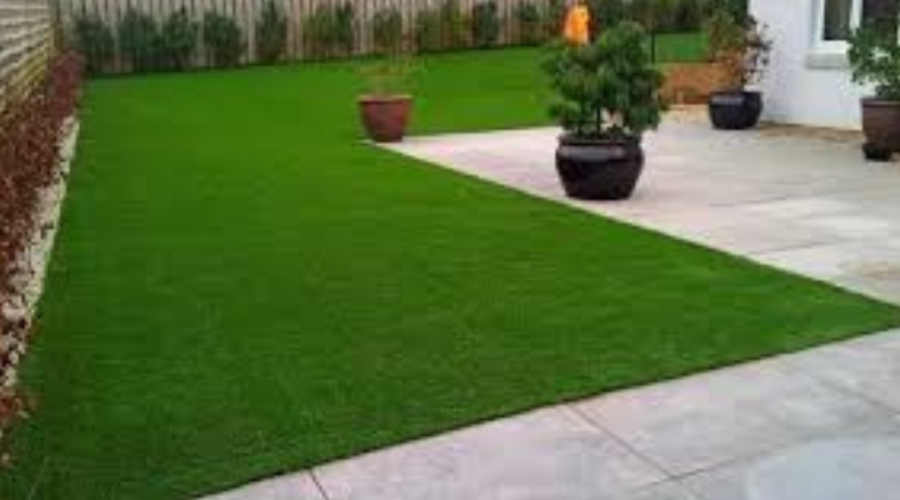 Indoor Plant Hire In Kuala Lumpur