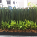 Landscaping Cost Selangor In Malaysia