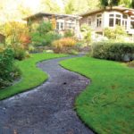 Consulting Indoor Plant Hire In Kuala Lumpur