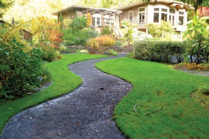 Consulting Indoor Plant Hire In Kuala Lumpur