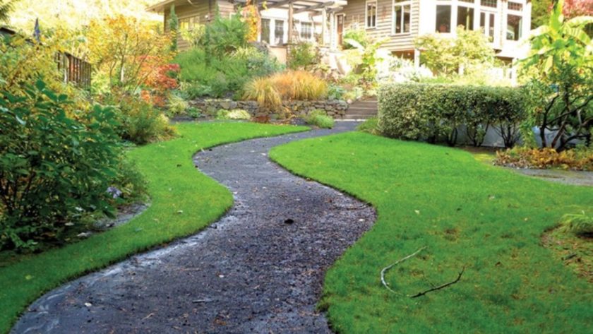 Consulting Indoor Plant Hire In Kuala Lumpur