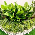 landscaping services in Kuala Lumpur