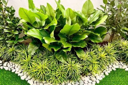 landscaping services in Kuala Lumpur