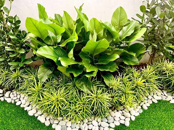 landscaping services in Kuala Lumpur
