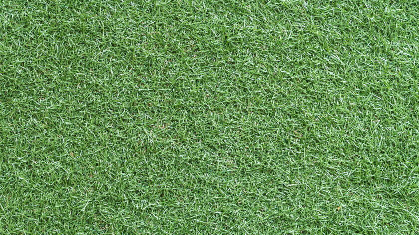 Artificial Grass Services in Kuala Lumpur