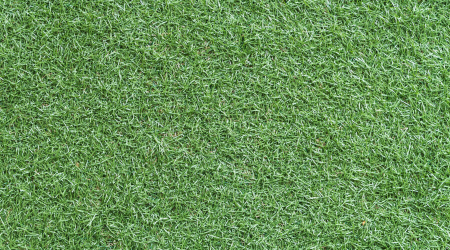 Artificial Grass Services in Kuala Lumpur