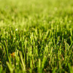 professional wood decking services in Kuala Lumpur