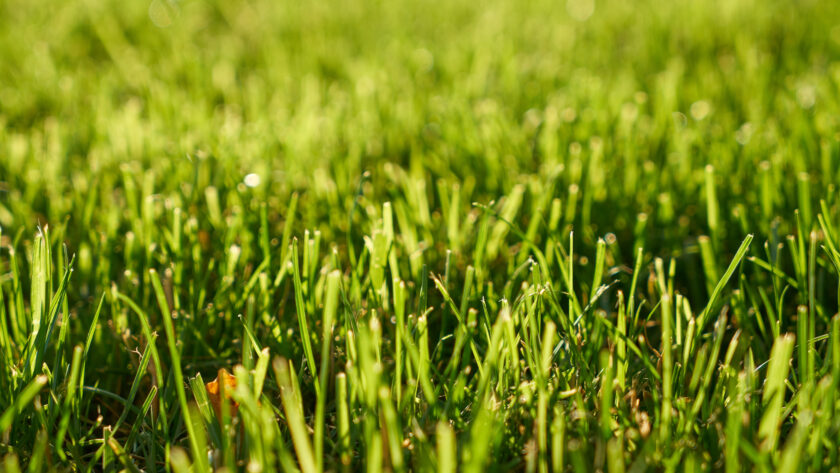 professional wood decking services in Kuala Lumpur